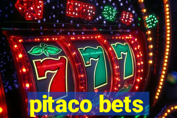 pitaco bets